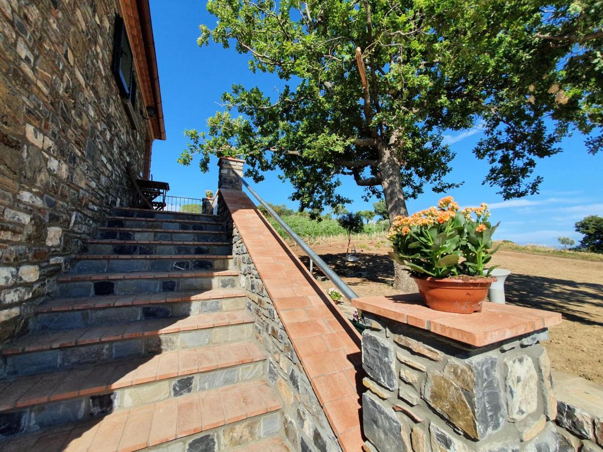Agriturismo Le Terre Di Venere Acciaroli Buitenkant foto