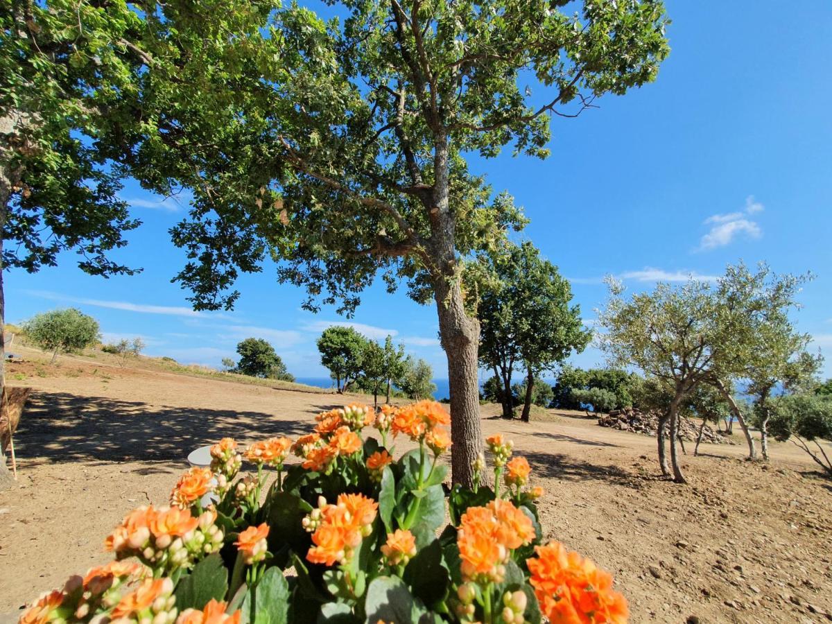 Agriturismo Le Terre Di Venere Acciaroli Buitenkant foto
